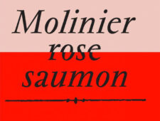 Molinier rose saumon,  Exposition anniversaire  au FRAC du 31 mars au 17 septembre 2023